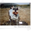 아롬나옴 이미지