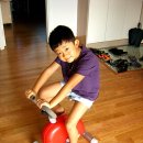 토이팡팡 이미지