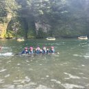 동강포도원펜션 이미지