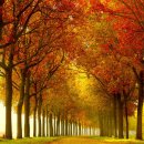 구준회농장 이미지