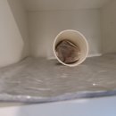 퍼스트피시카페 이미지