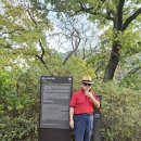 장수진료소 | 초간정 여행기-예천 비경과 선비 문화 탐방(2025.10.26일)