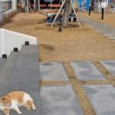 서두경로당 네이버블로그