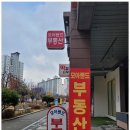 부동산모아공인중개사사무소 이미지