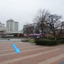 미쓰족발(정관신도시점) | 부산 정관신도시맛집 / 마늘족발이 맛있는 미쓰족발!