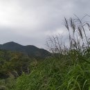 초막골 생태공원 이미지