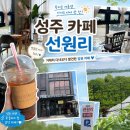 카페선원리 | [카페] 외근길에 발견한 성주 카페 선원리 | 뜨거운 시골길에서 만난 아이스 아메리카노