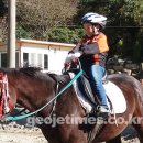 동부초율포분교 이미지