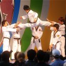 코리아타이거즈태권도 이미지