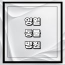 하이동물병원 | 영월군 근처 동물병원 추천 정보 | 24시간 잘하는곳 고양이 강아지 중성화 수술 애견 가격 비용 금액 후기