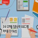 차이홍 이미지