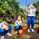 금종농장 이미지