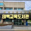 태백교육도서관 | [태백교육도서관] 초등학생 아이들과 태백 여행 중 들른 태백 도서관 방문 후기