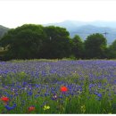 환벽당길 이미지