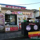 정선초등학교가수분교장 | 2111 정선 1일: 병방치 스카이워크에서 한반도 지형을 보다