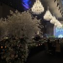 율동축사 | W18. 인천 아시아드웨딩컨벤션 그레이스홀 본식 후기 (하객반응·주의사항·꿀팁)