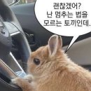 하우스 오브 더 라움 본식 혼주 한복 대여 후기 [건대 아름다운미 한복]