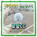 D.C클럽 | 베트남 닌빈 한국인들이 많이 찾는 골프장 2인플레이가능 로얄cc C코스 D코스