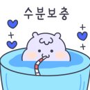 바닐라짐 이미지