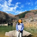 하동노량투다리오토캠핑장 이미지