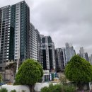 푸른숲부동산공인중개사사무소 이미지