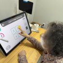 광산구치매안심센터 | 북구노인복지센터 대교뉴이프데이케어센터 광주북구센터 따뜻한 돌봄의 시작