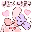 연돈볼카츠동탄