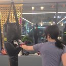 알파복싱 이미지