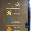 트윈즈하우스 | 크리스마스 트리가 있는 분위기 좋은 루프탑 식당 : 을지로 미드나잇 트윈즈 메뉴/추천/후기