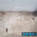 새동신약국 이미지