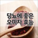 오미자 효능 (당뇨,간, 폐,갱년기, 피부) 이미지