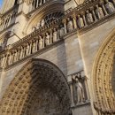 센느약국 이미지