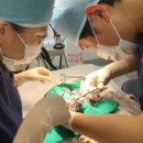 광주광역시 우치동물원 동물병원 이미지