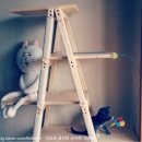 캣 팰리스 이미지