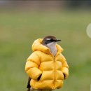 🙏영웅님 고척돔 콘서트예매~캬~~찐~실감했어요😪 이미지