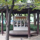 지혜의 숲 도서관 이미지