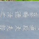 들국화목장 이미지