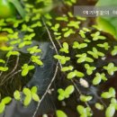 예쁨을채우다 이미지