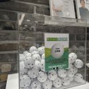 비전골프 이미지