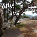 통안천 네이버블로그