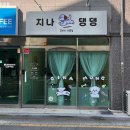 지나댕댕 이미지