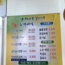 은행나무갈매기 이미지