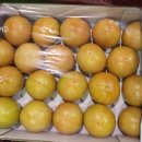 화천소방소 이미지