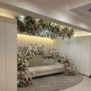 라루체(LaLuce) | [공지] [04. 명동 라루체] 26년 하반기 견적 공유 | 밝은 야외웨딩홀 느낌 추천 | 미운우리새끼 방영