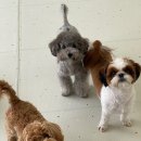 어썸멍스쿨 이미지