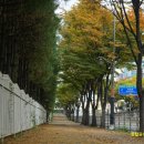 한탑공인중개사사무소 이미지