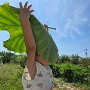 소중농원 이미지