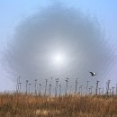 시흥목장 이미지