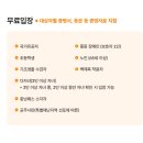 인도문화제 | 공주 백제문화제 2025 방문후기｜주차 관람 꿀팁