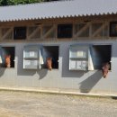 재욱목장 이미지